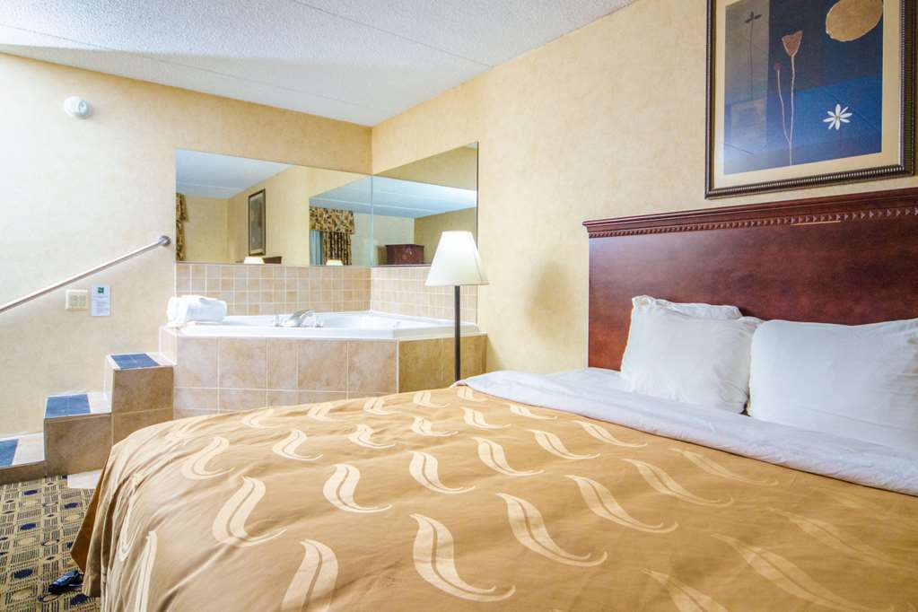 Quality Inn & Suites Coldwater Near I-69 Zimmer foto